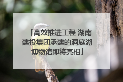 高效推进工程 湖南建投集团承建的洞庭湖博物馆即将亮相