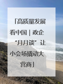 高质量发展看中国｜政企“月月谈”让小会场撬动大营商