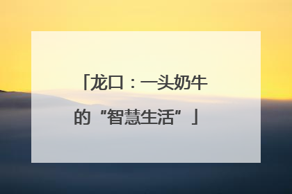 龙口：一头奶牛的“智慧生活”