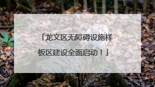 龙文区无障碍设施样板区建设全面启动！
