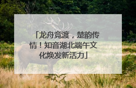龙舟竞渡，楚韵传情！知音湖北端午文化焕发新活力
