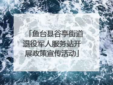 鱼台县谷亭街道退役军人服务站开展政策宣传活动