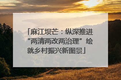 麻江坝芒：纵深推进“两清两改两治理”绘就乡村振兴新图景