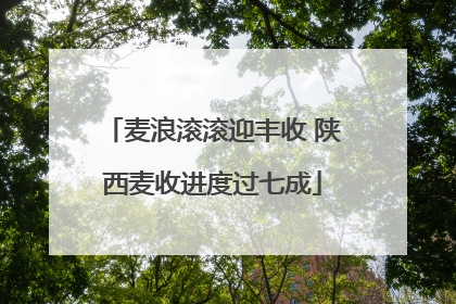 麦浪滚滚迎丰收 陕西麦收进度过七成