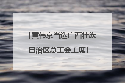 黄伟京当选广西壮族自治区总工会主席