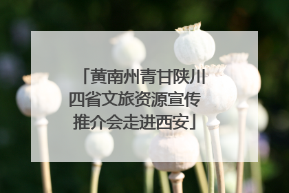 黄南州青甘陕川四省文旅资源宣传推介会走进西安
