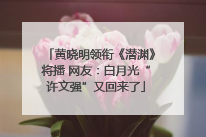 黄晓明领衔《潜渊》将播 网友：白月光“许文强”又回来了