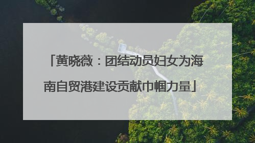 黄晓薇：团结动员妇女为海南自贸港建设贡献巾帼力量