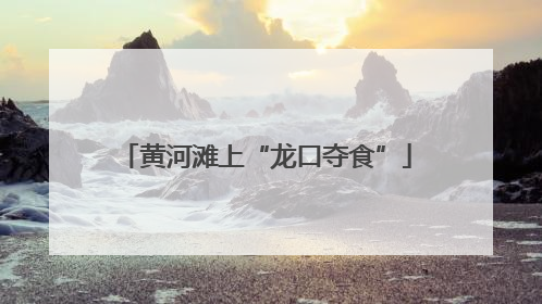 黄河滩上“龙口夺食”