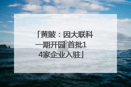 黄陂：因大联科一期开园 首批14家企业入驻