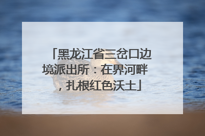 黑龙江省三岔口边境派出所：在界河畔，扎根红色沃土