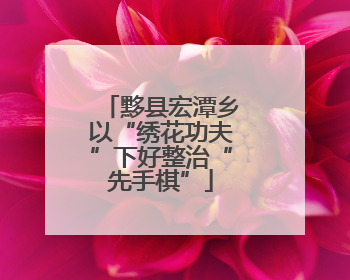 黟县宏潭乡以“绣花功夫”下好整治“先手棋”