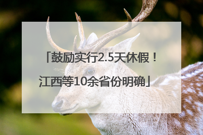 鼓励实行2.5天休假！江西等10余省份明确
