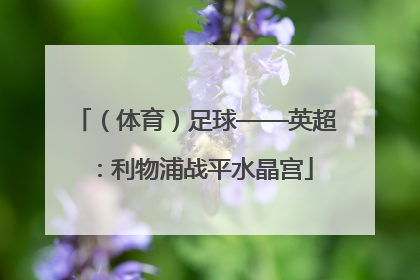 （体育）足球——英超：利物浦战平水晶宫