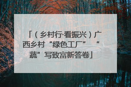（乡村行·看振兴）广西乡村“绿色工厂” “蔬”写致富新答卷