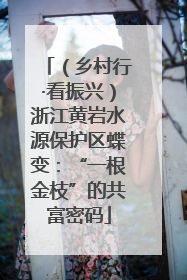 （乡村行·看振兴）浙江黄岩水源保护区蝶变：“一根金枝”的共富密码