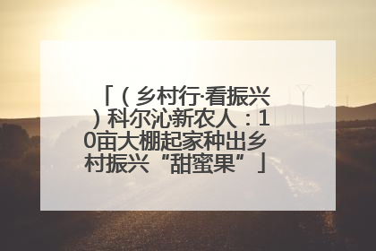 （乡村行·看振兴）科尔沁新农人：10亩大棚起家种出乡村振兴“甜蜜果”