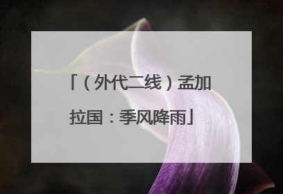 （外代二线）孟加拉国：季风降雨