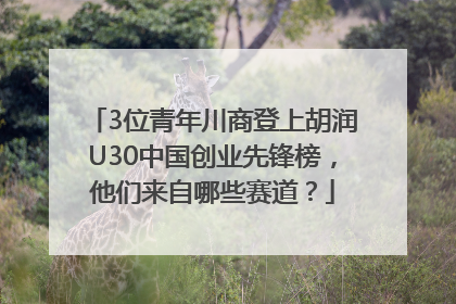 3位青年川商登上胡润U30中国创业先锋榜，他们来自哪些赛道？