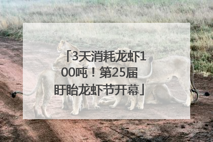 3天消耗龙虾100吨！第25届盱眙龙虾节开幕