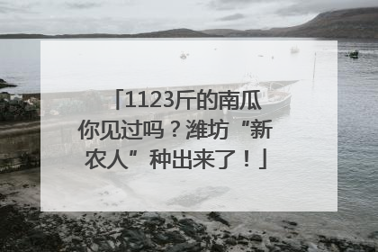 1123斤的南瓜你见过吗？潍坊“新农人”种出来了！