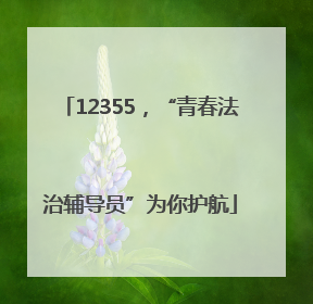 12355，“青春法治辅导员”为你护航