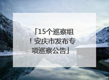 15个巡察组！安庆市发布专项巡察公告