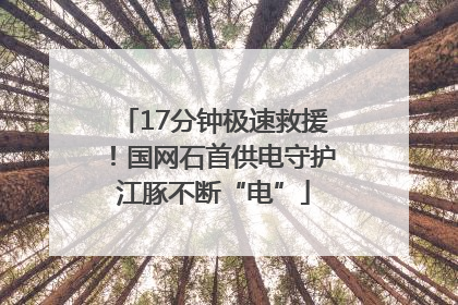17分钟极速救援！国网石首供电守护江豚不断“电”