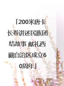 200米唐卡长卷讲述民族团结故事 献礼西藏自治区成立60周年