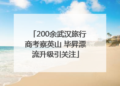 200余武汉旅行商考察英山 毕昇漂流升级引关注