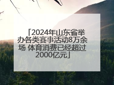 2024年山东省举办各类赛事活动8万余场 体育消费已经超过2000亿元