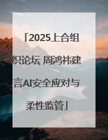 2025上合组织论坛 周鸿祎建言AI安全应对与柔性监管