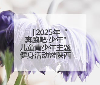 2025年“奔跑吧·少年”儿童青少年主题健身活动暨陕西省第五届少儿体育嘉年华活动启动