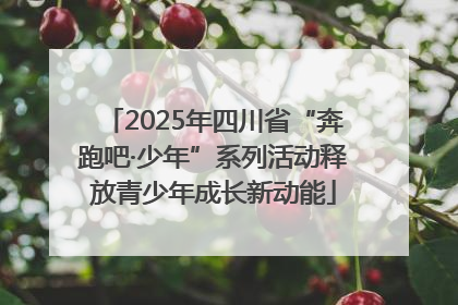 2025年四川省“奔跑吧·少年”系列活动释放青少年成长新动能