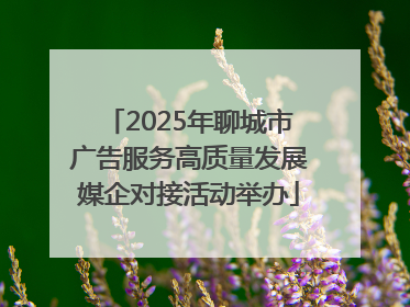 2025年聊城市广告服务高质量发展媒企对接活动举办