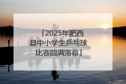 2025年肥西县中小学生乒乓球比赛圆满落幕