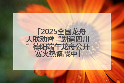 2025全国龙舟大联动暨“划遍四川”德阳端午龙舟公开赛火热备战中