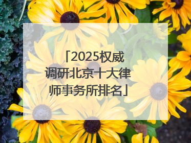 2025权威调研北京十大律师事务所排名