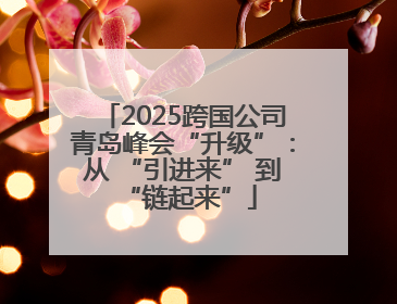 2025跨国公司青岛峰会“升级”：从 “引进来” 到 “链起来”