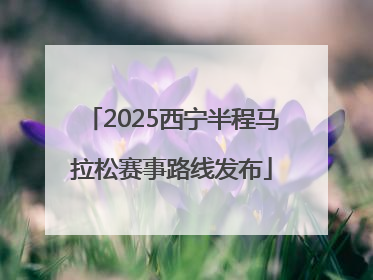2025西宁半程马拉松赛事路线发布