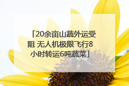 20余亩山蔬外运受阻 无人机极限飞行8小时转运6吨蔬菜