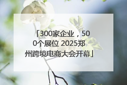300家企业，500个展位 2025郑州跨境电商大会开幕