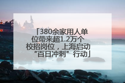 380余家用人单位带来超1.2万个校招岗位，上海启动“百日冲刺”行动