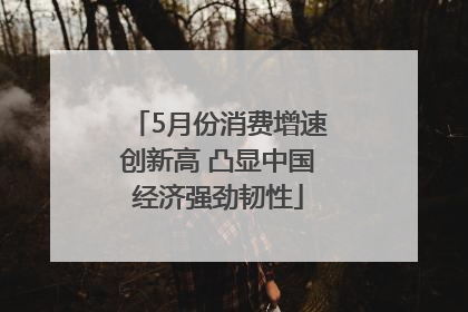 5月份消费增速创新高 凸显中国经济强劲韧性