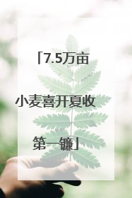 7.5万亩小麦喜开夏收第一镰