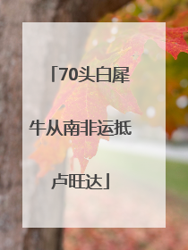 70头白犀牛从南非运抵卢旺达