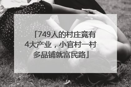 749人的村庄竟有4大产业，小官村一村多品铺就富民路