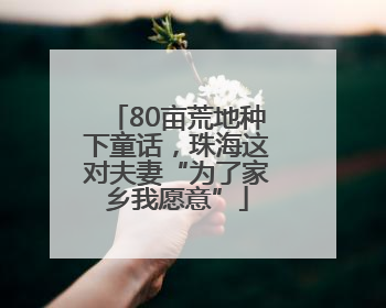80亩荒地种下童话，珠海这对夫妻“为了家乡我愿意”