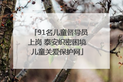 91名儿童督导员上岗 泰安织密困境儿童关爱保护网