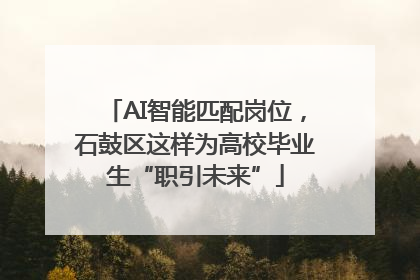 AI智能匹配岗位，石鼓区这样为高校毕业生“职引未来”